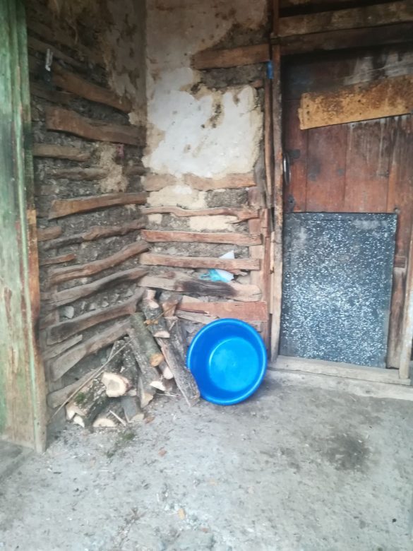 IMG-1a36b36f860ff36ad60c2f4b96e92a59-V