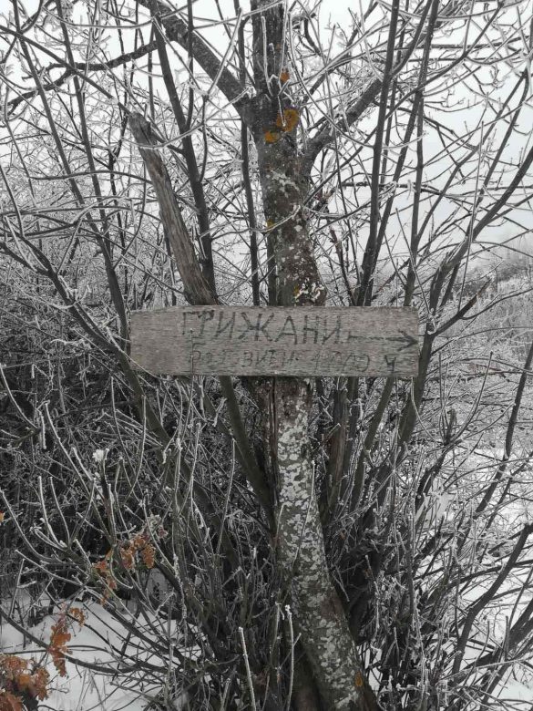 IMG-4495e440c9b9aee32d85ce72c2376666-V